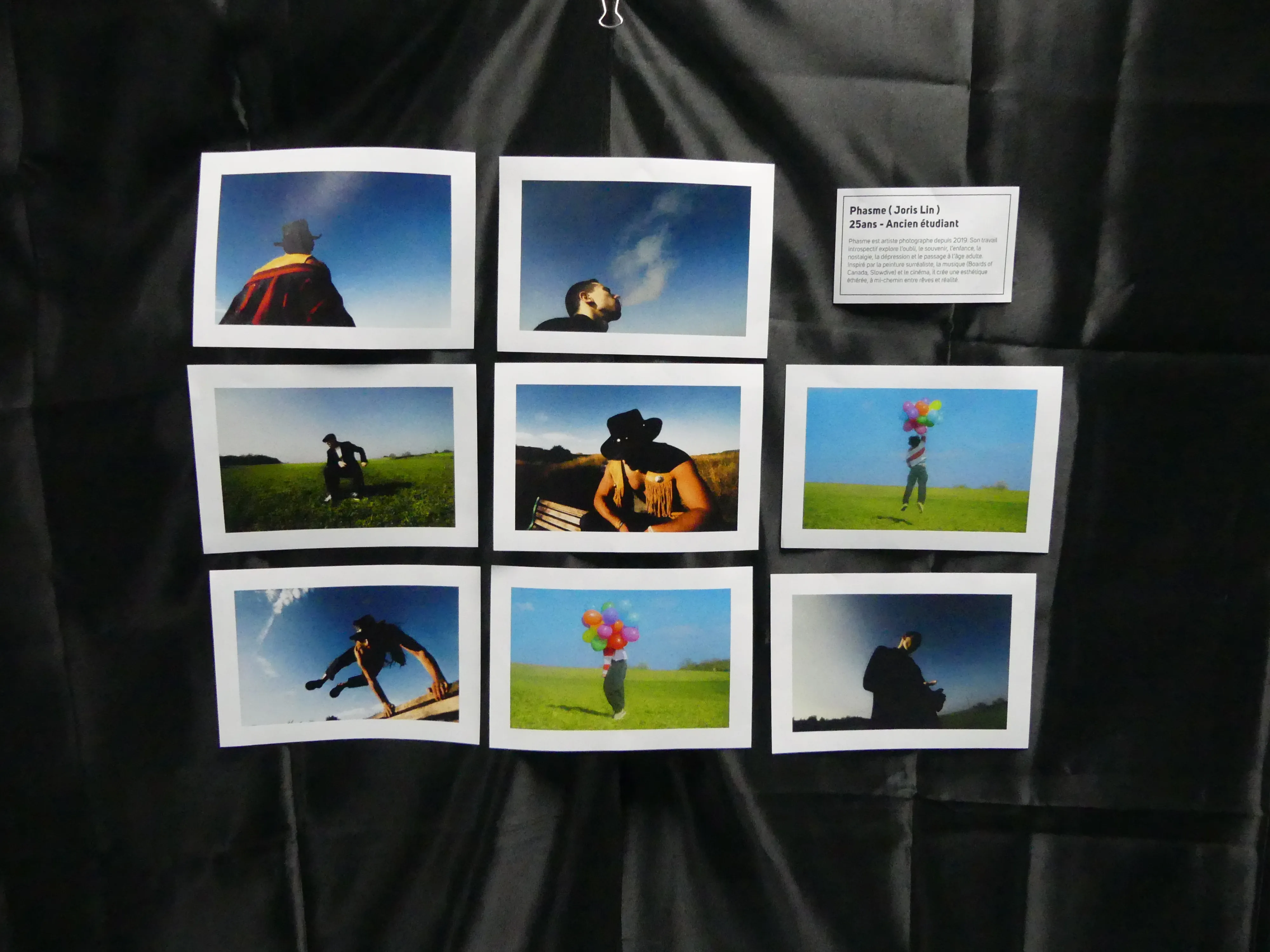 Phasme — plein écran